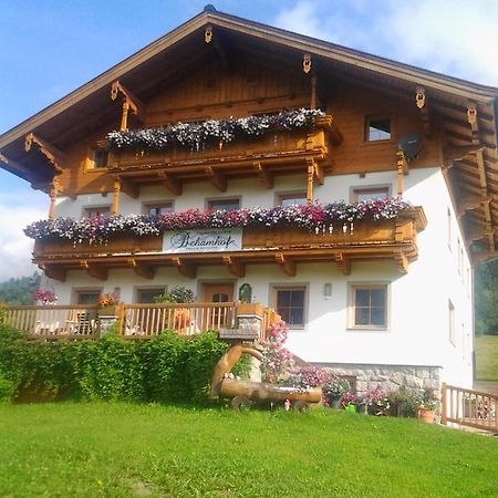 Ferienwohnungen Behamhof Нойкирхен-ам-Гросфенедигер Экстерьер фото