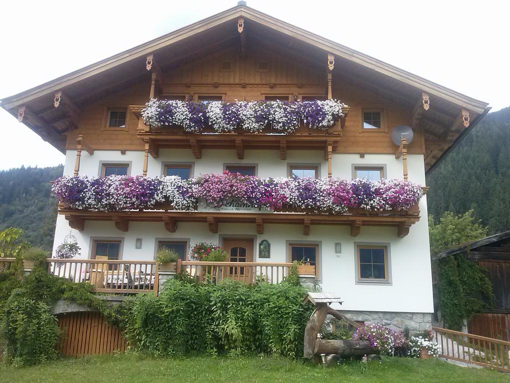 Ferienwohnungen Behamhof Нойкирхен-ам-Гросфенедигер Экстерьер фото