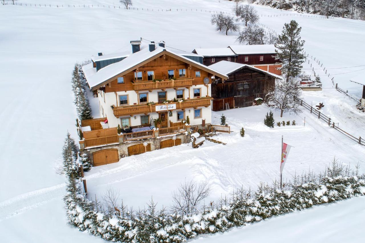 Ferienwohnungen Behamhof Нойкирхен-ам-Гросфенедигер Экстерьер фото