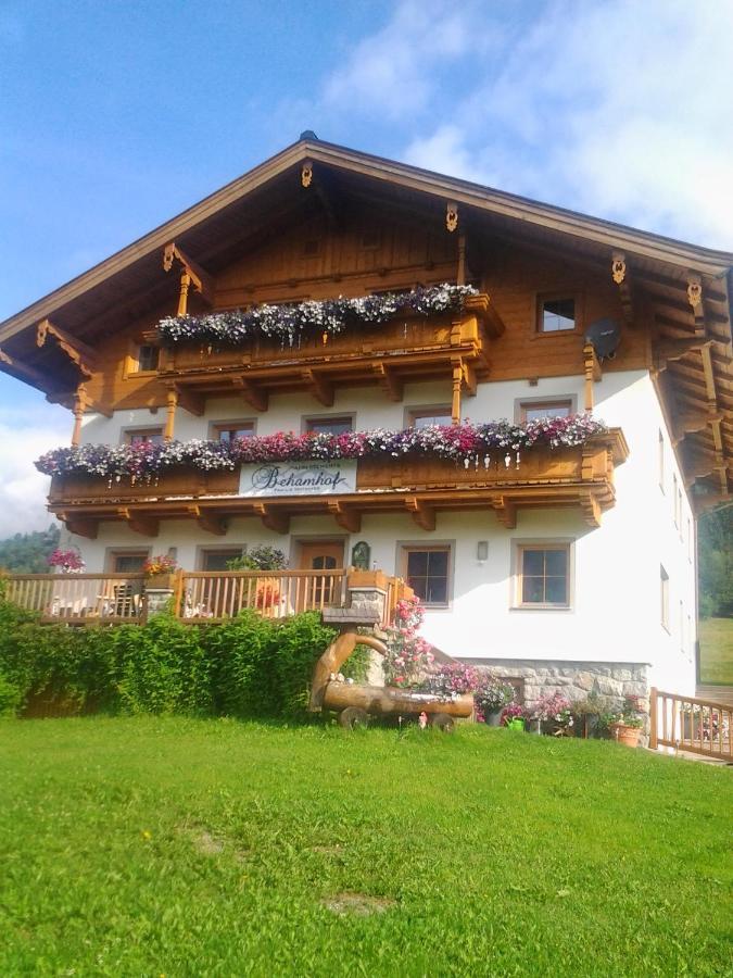 Ferienwohnungen Behamhof Нойкирхен-ам-Гросфенедигер Экстерьер фото
